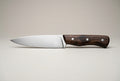 A small fixed-blade knife with a satin finish steel blade and a contoured reddish-brown wooden handle secured by three brass rivets, resting on a wooden surface.